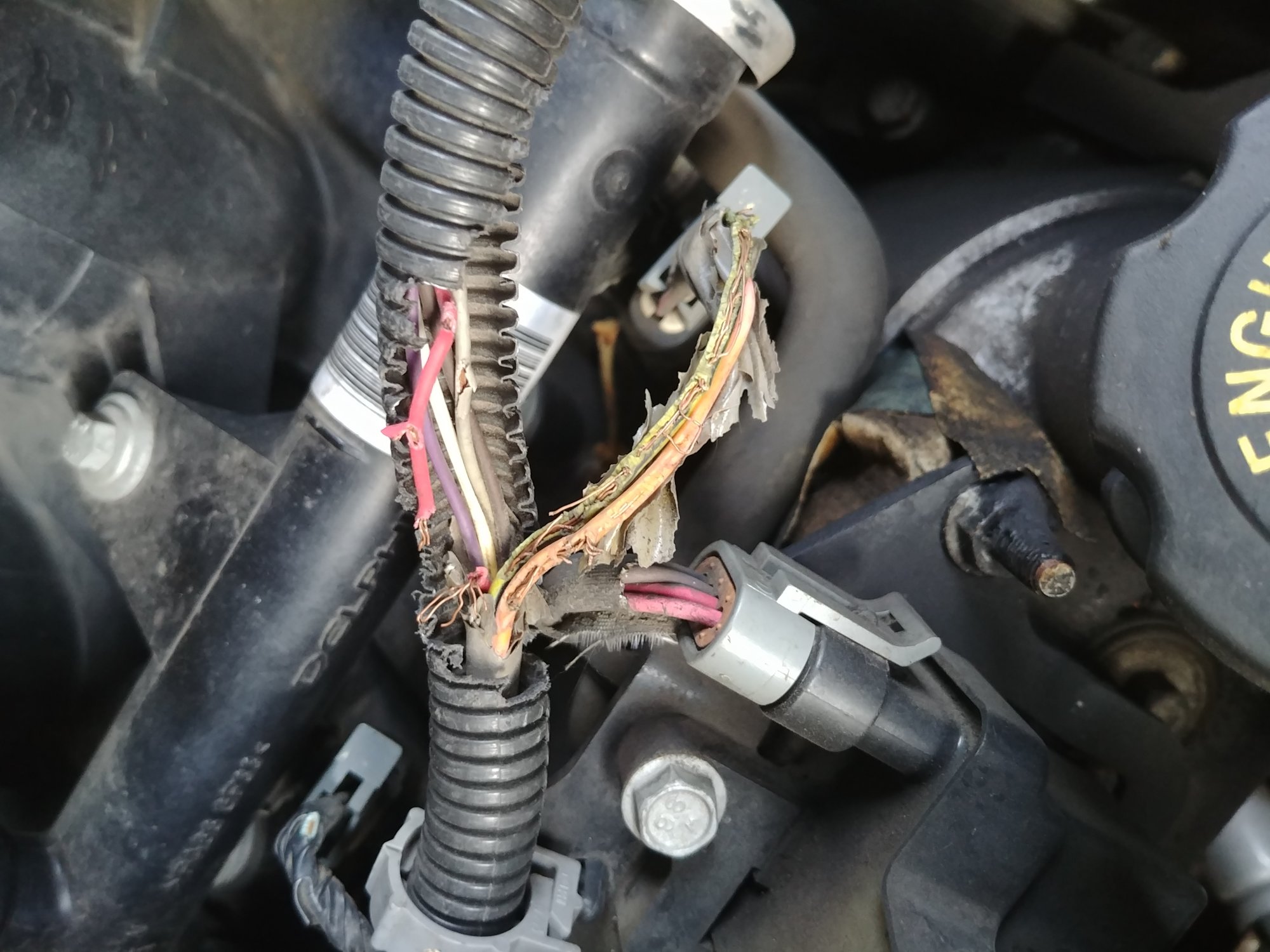 Chewed on wiring 19992006 & 20072013 Chevrolet Silverado & GMC Sierra 1500