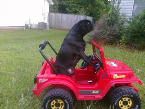 Intellilink Modifications | Autos Post Intellilink Modifications | Autos Post