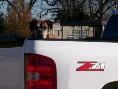 Ellie Ridin\' in style.jpg