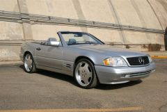 SL500 085 (Large).jpg