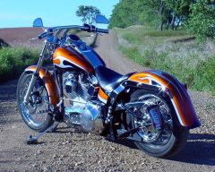 Bike Rear Angle.jpg