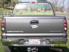 Horses-truck03-29-08 016.jpg