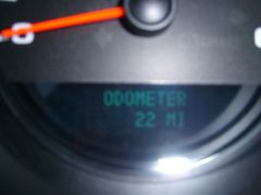 Picture 113.jpg