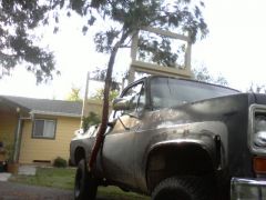 Redneck Tree Trimming