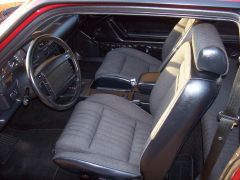 mustang4.jpg