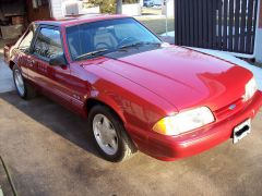 mustang3.jpg