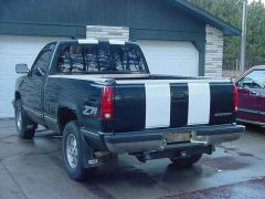 Rear end white stripes