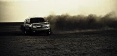DSC_0423-Edit-3.jpg