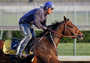 alanastonish