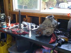 Transfer case gearing