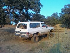 cattle mountain