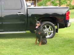 2010 silverado 004.1