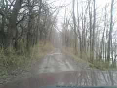 Rainy day cruise1