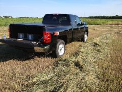 In the field