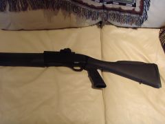 My New Guns 006