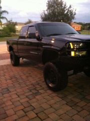 Gator 03 Cleaned up