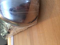 IMG 6180