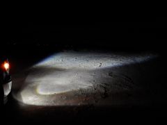 Rigid vs Putco LED Fog Bulbs