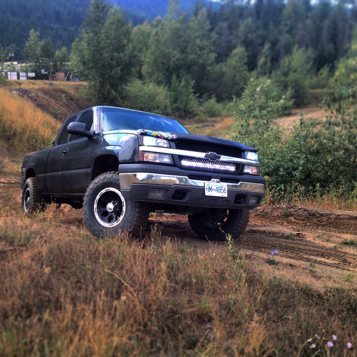 Silverado sitting pretty on a Hill