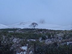 Vinyards in snow 2000 ft