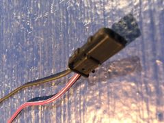 IMG 1114 (1)