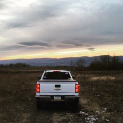 Fire Trail