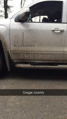Cougar Country