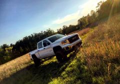 Sierra in the Field 4