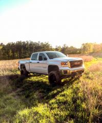 Sierra in the Field 3