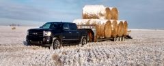 Moving straw from the field to home