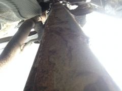 IMG 7113