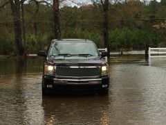 Humid day in Southeast Louisiana