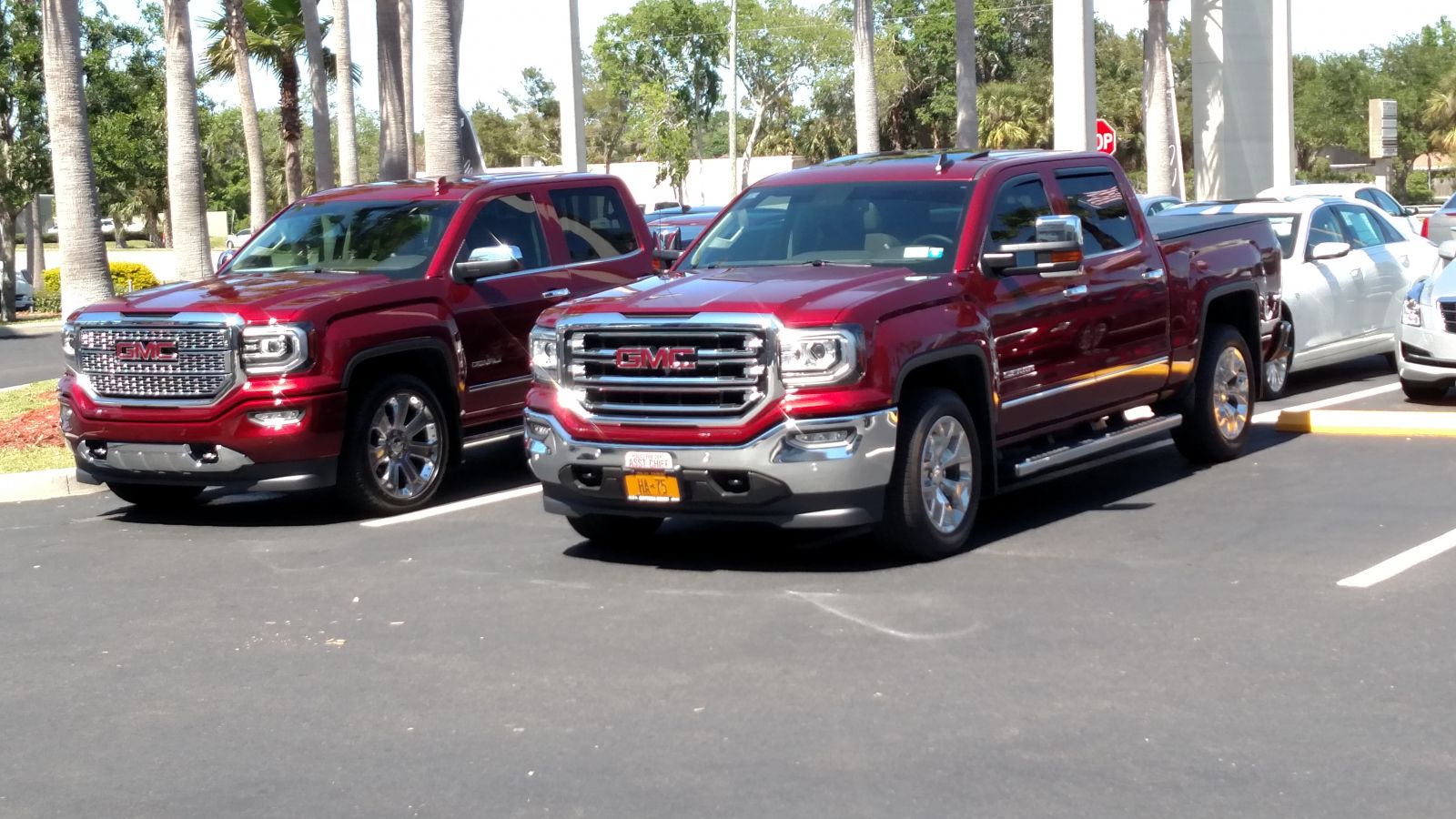 twins