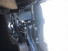 IMG 1017