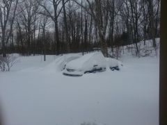 2013 02 09 08.42.37