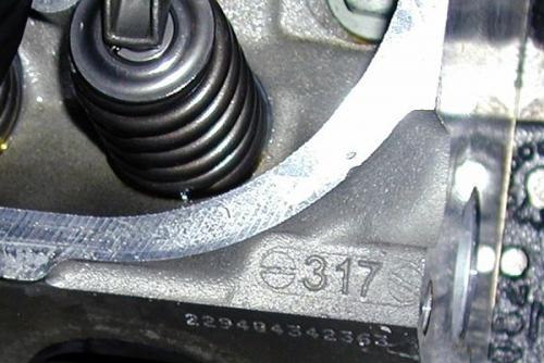 317.jpg