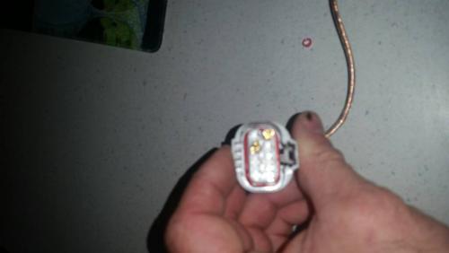 post-152173-14527879534_thumb.jpg
