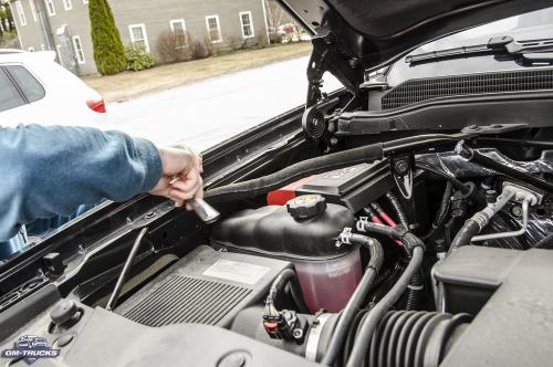 CAI_Intake_Review_06.jpg