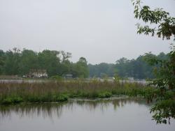 DSC01956.JPG