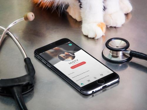 On_Phone_Imagery_Vet.jpg