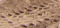 post-73116-1280198434_thumb.jpg