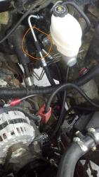 IMG_20130707_144505_8631.jpg