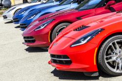 2014Stingray_Preview_06.jpg