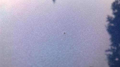 post-161534-0-65022300-1471227454_thumb.jpeg