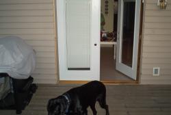 IM003040.jpg