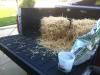 ImageUploadedByTapatalk1347838705.871383.jpg