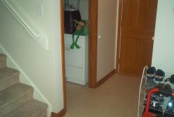 IM003095.jpg