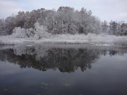 DSC03490.JPG