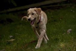 Sam_9411_04.jpg