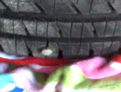 post-44144-1229050442_thumb.jpg